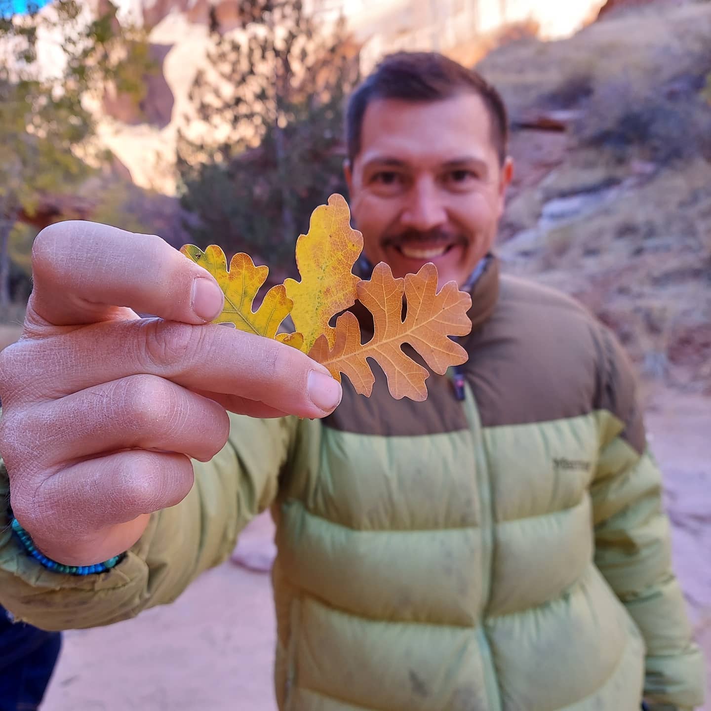 123005722_10157254302016262_6861989655604519703_n