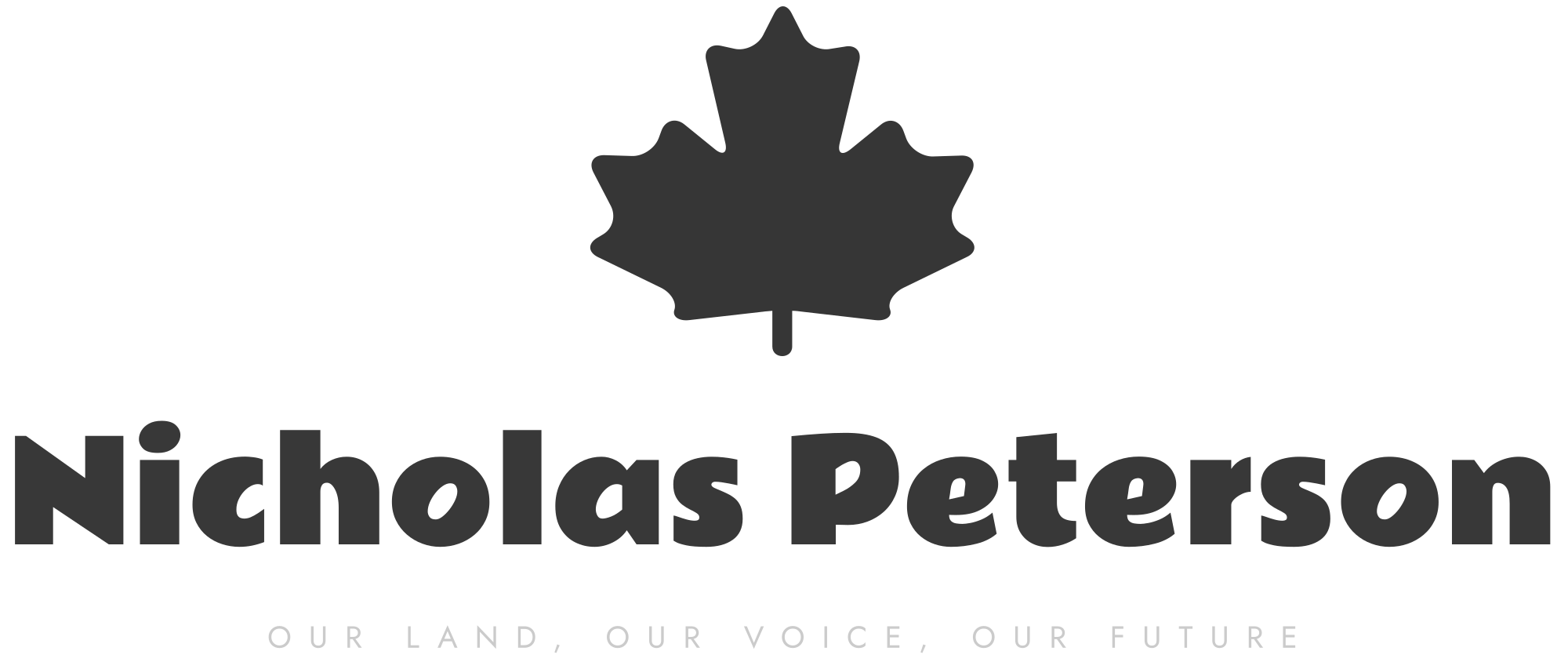 nicholas-peterson-high-resolution-logo-grayscale-transparent
